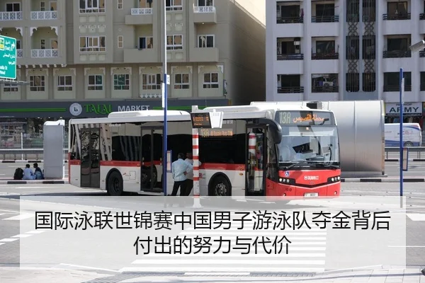 国际泳联世锦赛中国男子游泳队夺金背后付出的努力与代价